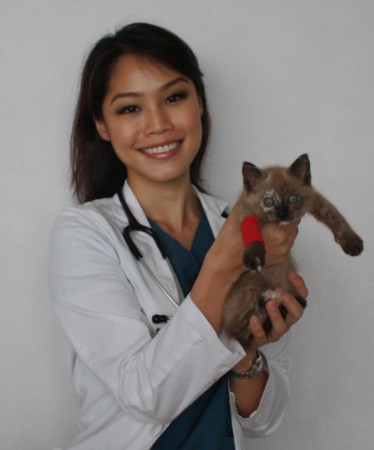 Dr Cheryl Tay, Miss Singapore Universe 2005 Veterinary Surgeon