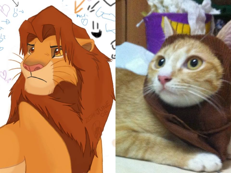 low cost cosplay simba