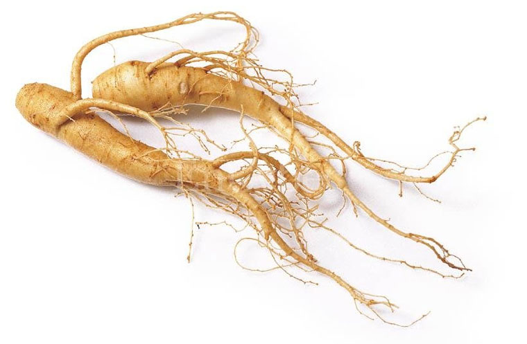 Ginseng and 4 other premium-grade Chinese herbs you can find to solve your  hair loss headache  - News from Singapore, Asia and around  the world