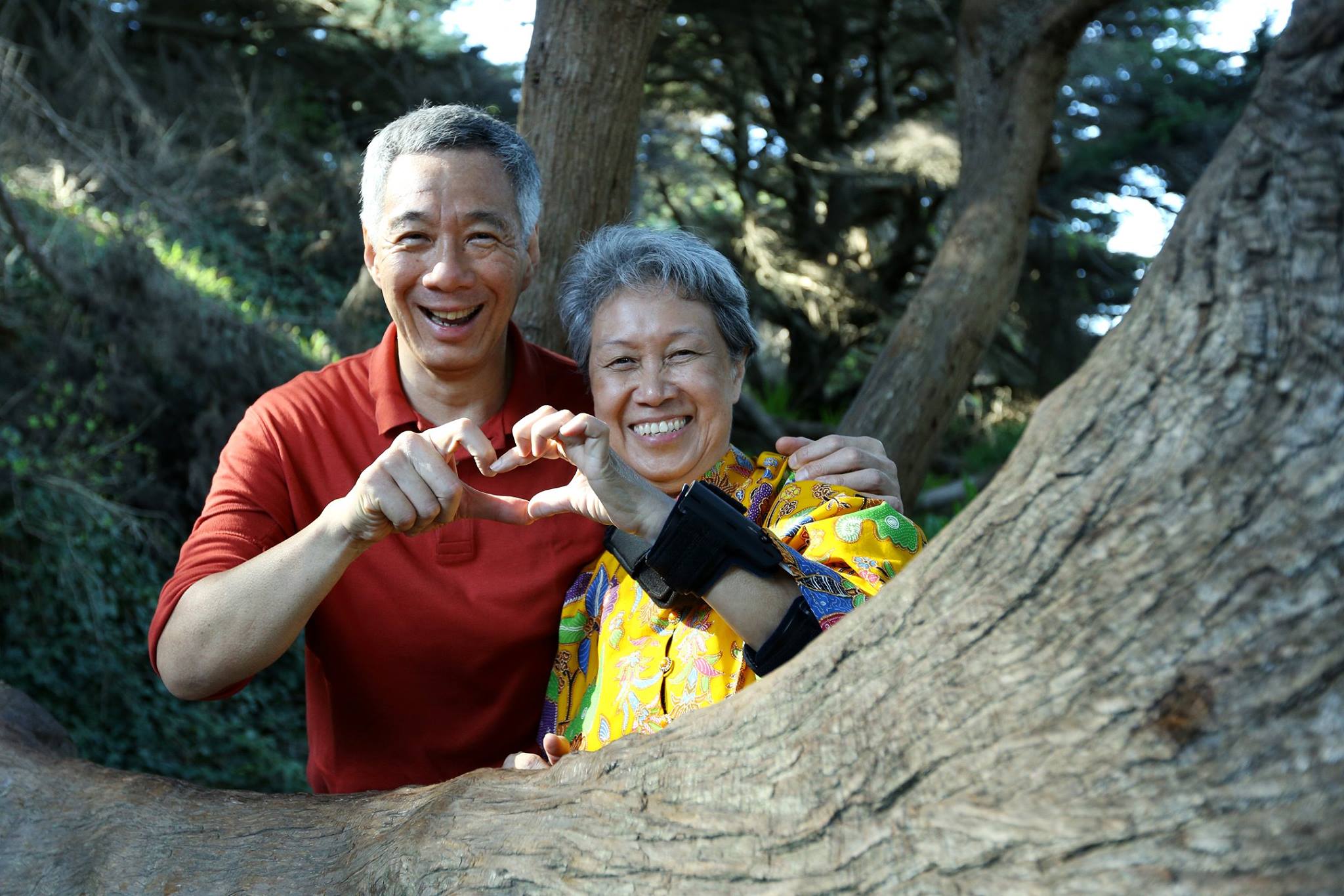 PM Lee and Ho Ching's Valentine's Day 2016 posts own all ...