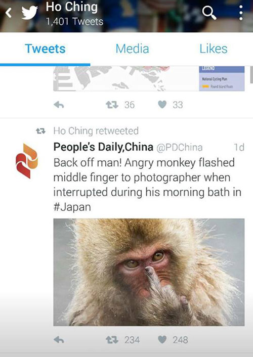 ho-ching-monkey