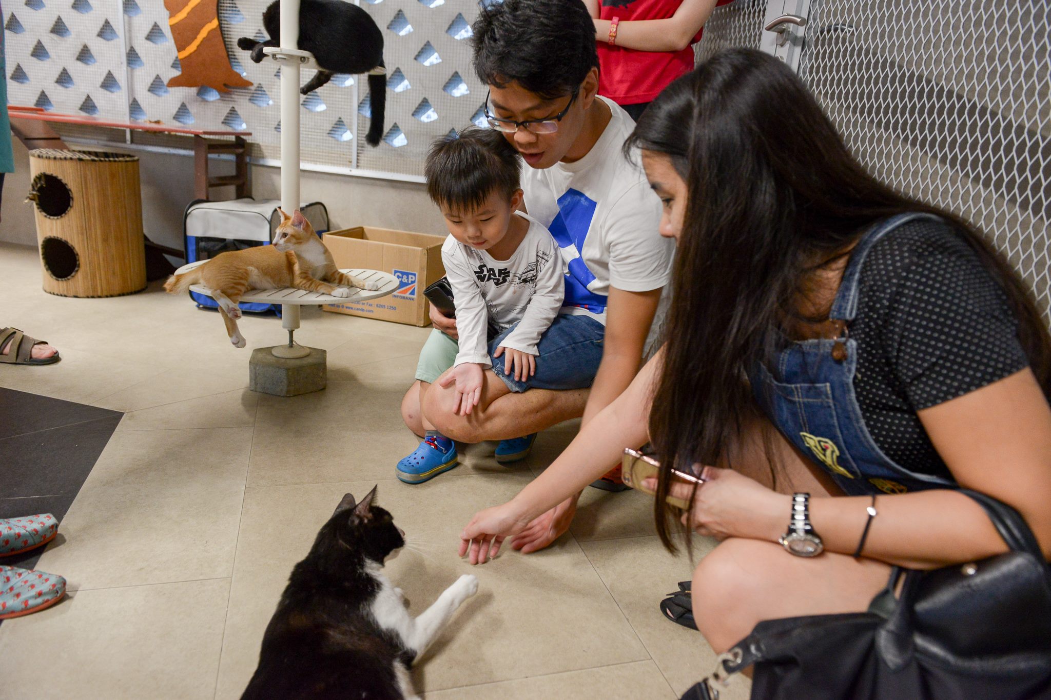 Photo from SPCA Singapore's Facebook page