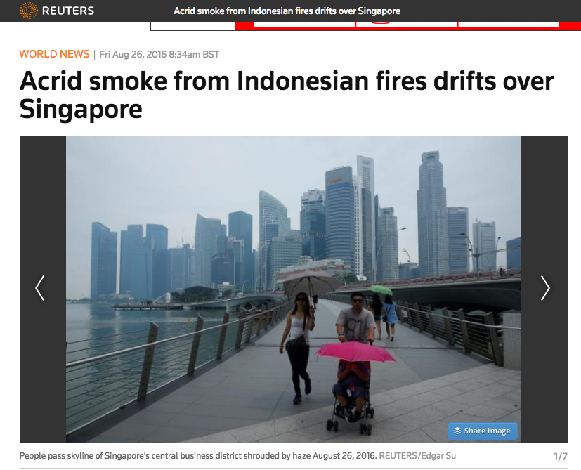 Screenshot from Reuters article