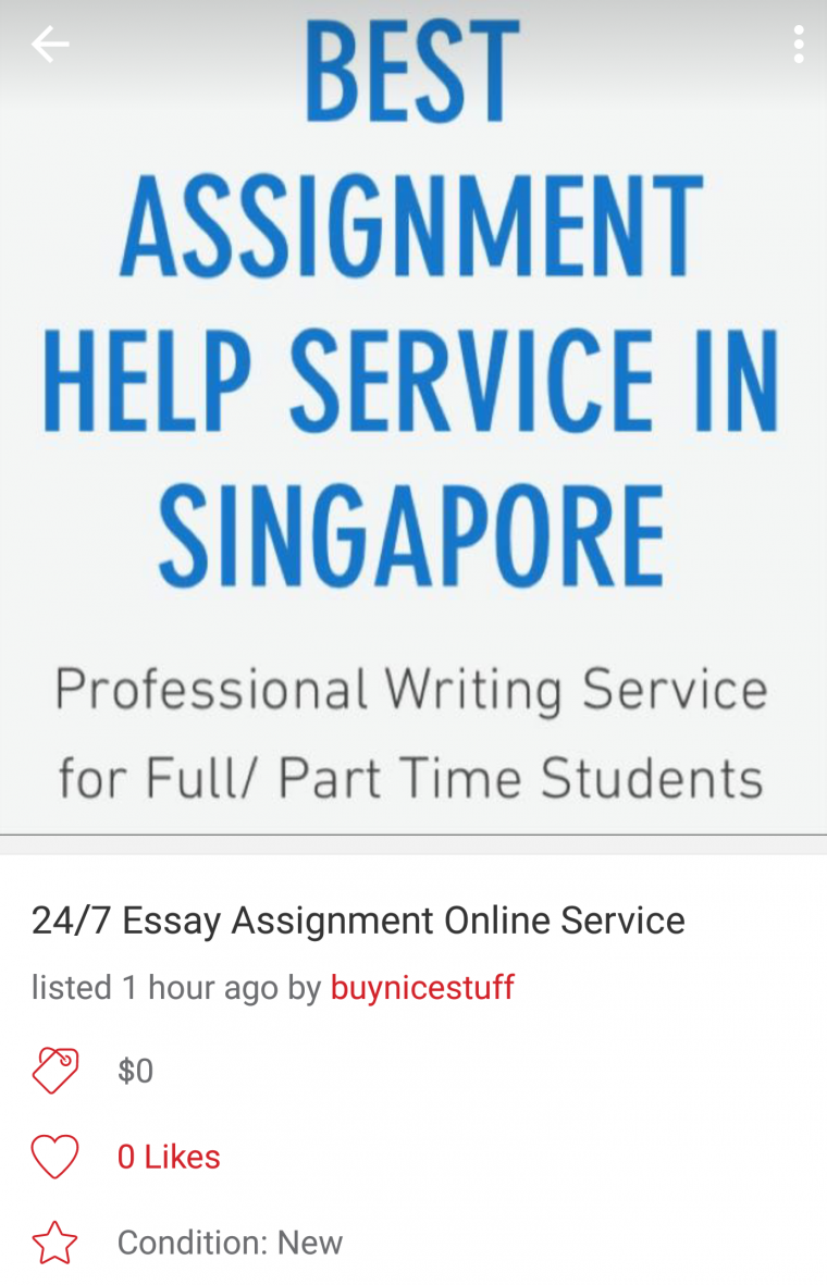 essay tutor singapore