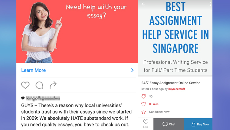 essay writing service singapore