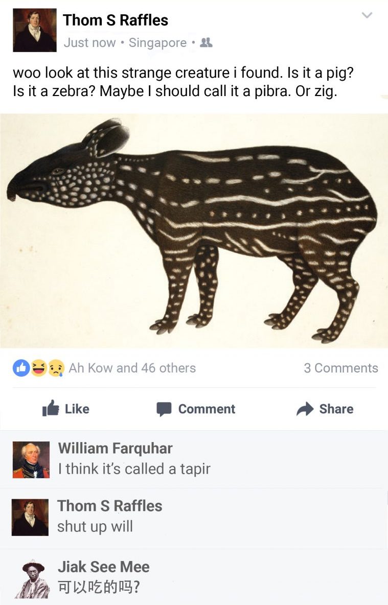 1821-facebook-tapir
