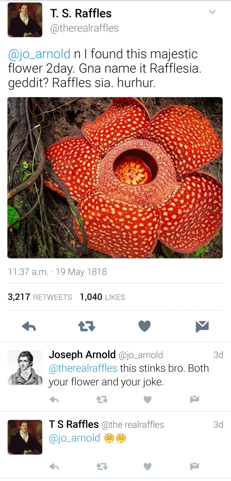 twitter-rafflesia-template