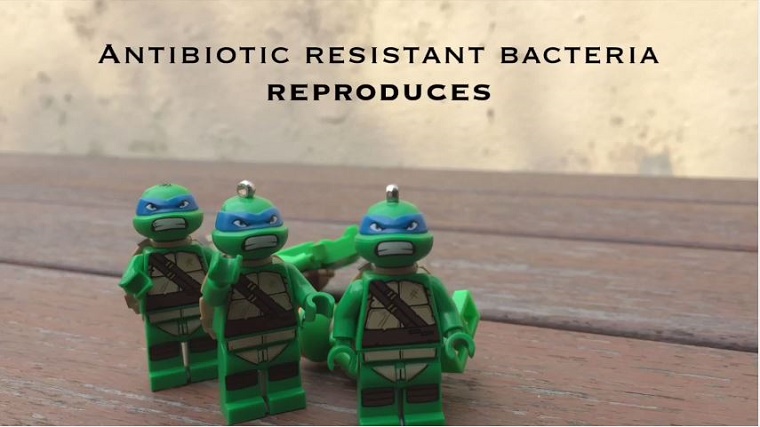 bacteria-change