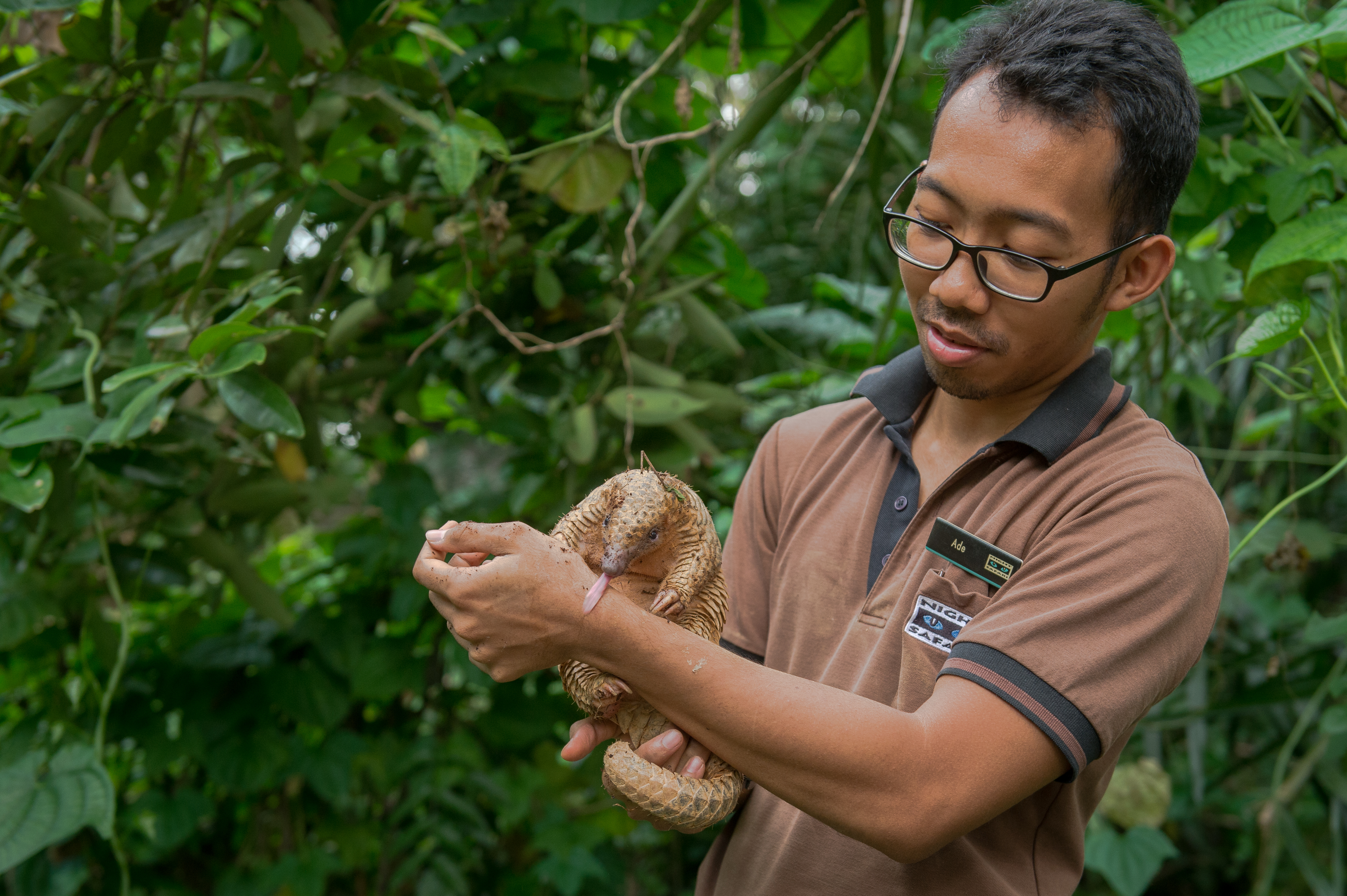 Photo courtesy of Wildlife Reserves Singapore 