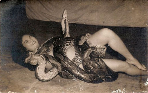 Rose Chan with python. Image via. 
