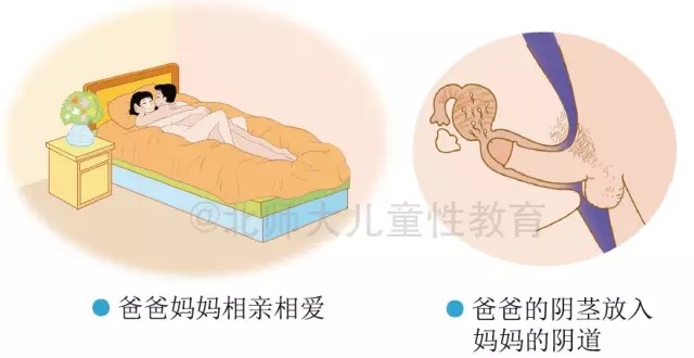 Knowledge of sexual intercourse taught at primary two. Left: Dad and mum getting intimate; Right: Dad's penis entering mum's vagina. (Source: Weibo)