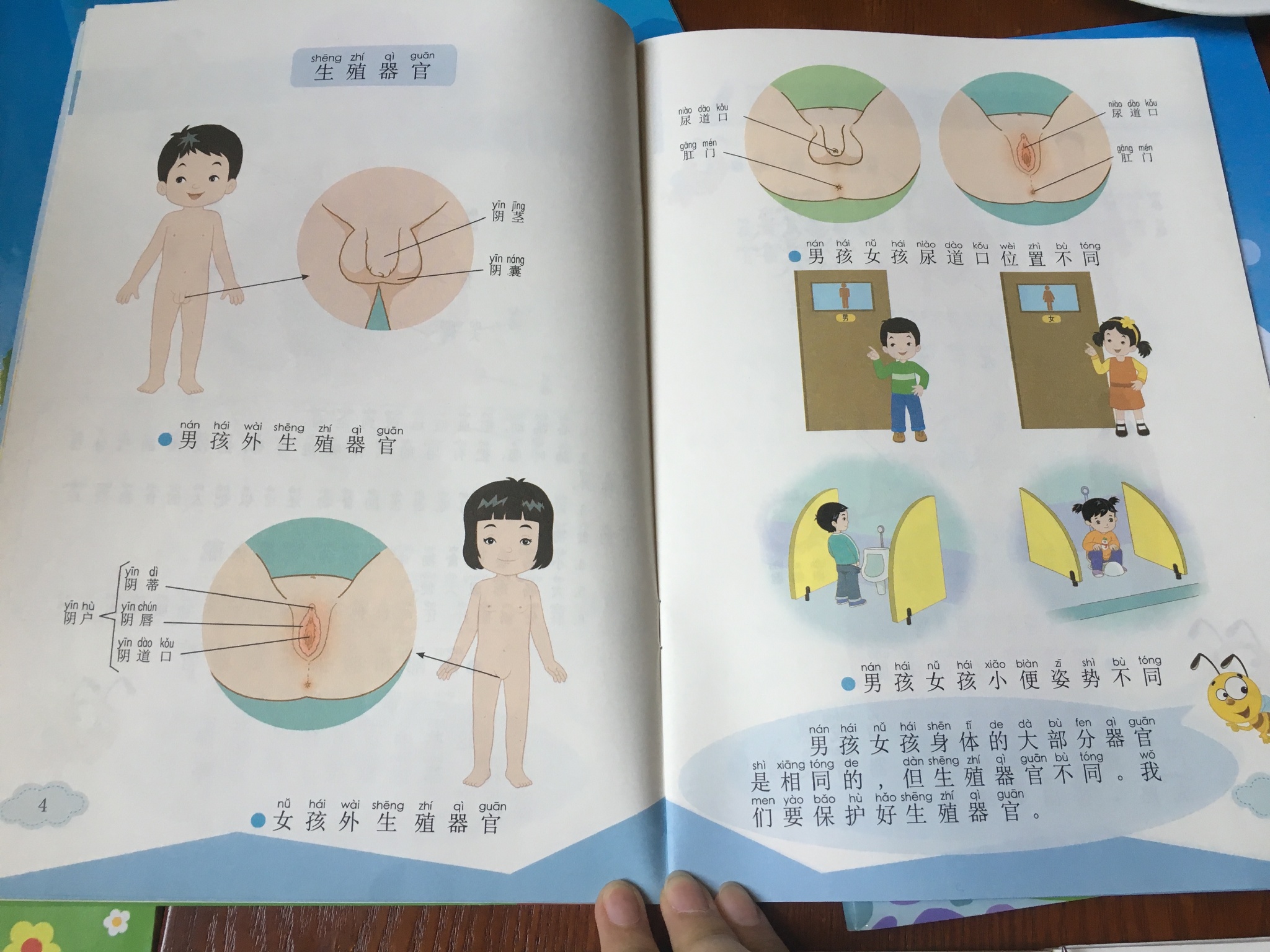 Knowledge of reproductive organs taught at primary one. (Source: Weibo)