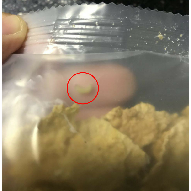Indian mealworms found wriggling in unopened pack of Banana Nut Crunch