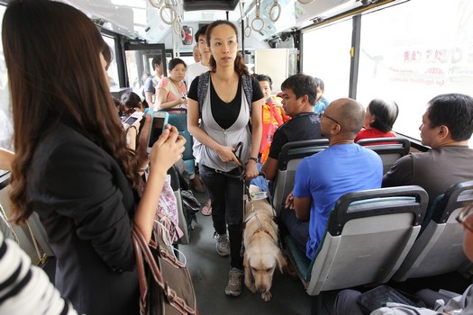 are dogs allowed on mrt singapore