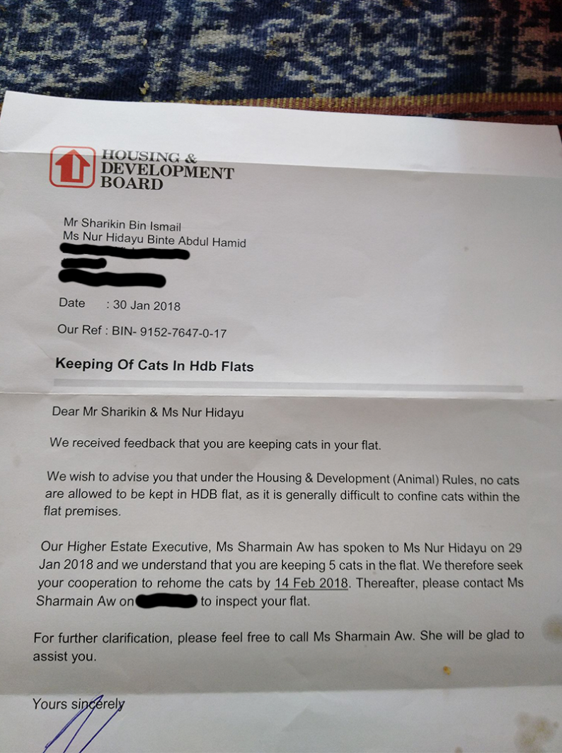 Man With 5 Cats Receives Letter From Hdb Giving Him 2 Week Deadline To Get Rid Of Them Mothership Sg News From Singapore Asia And Around The World