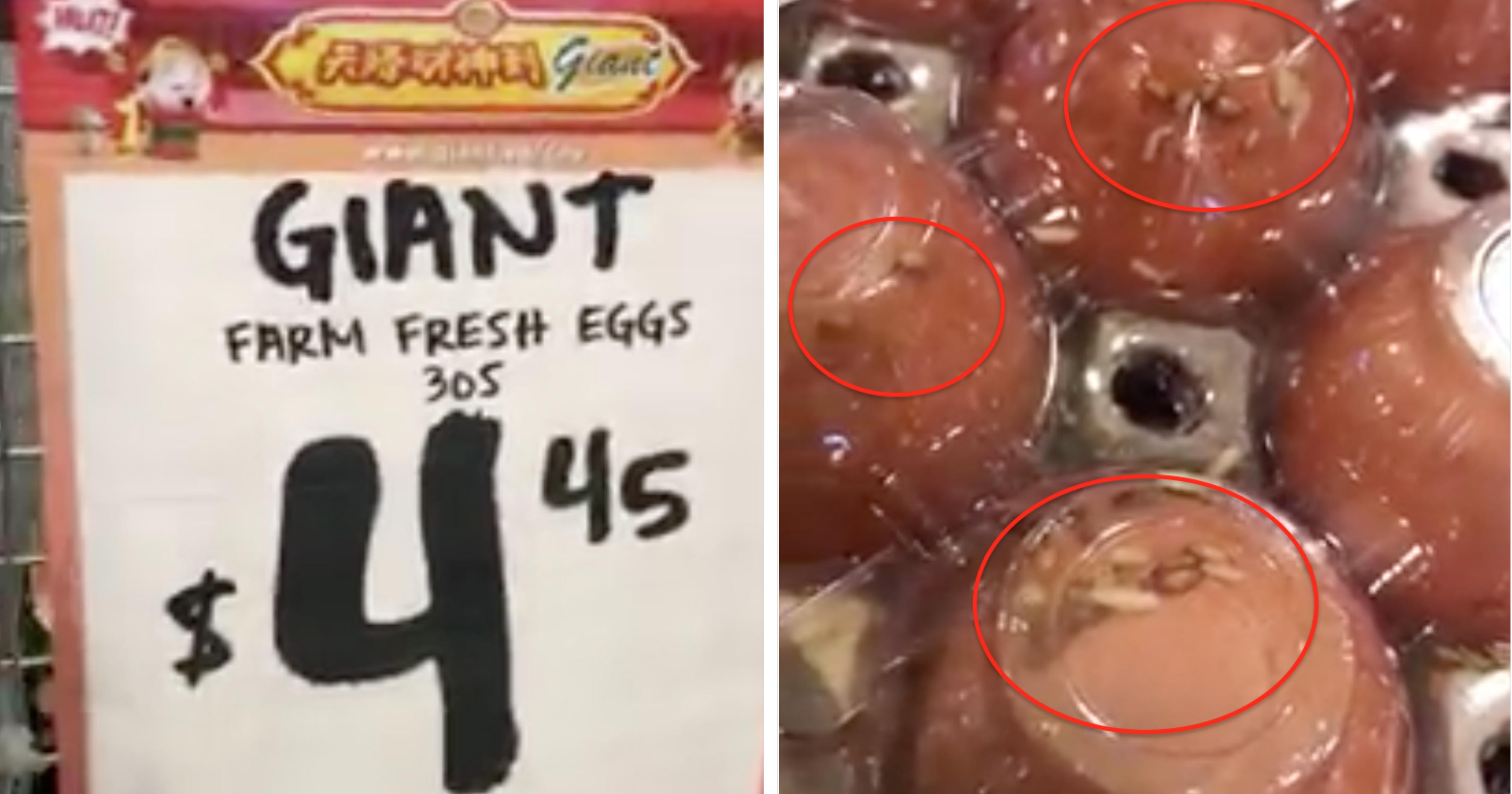 Tampines Giant hypermart eggs covered in wriggling maggots