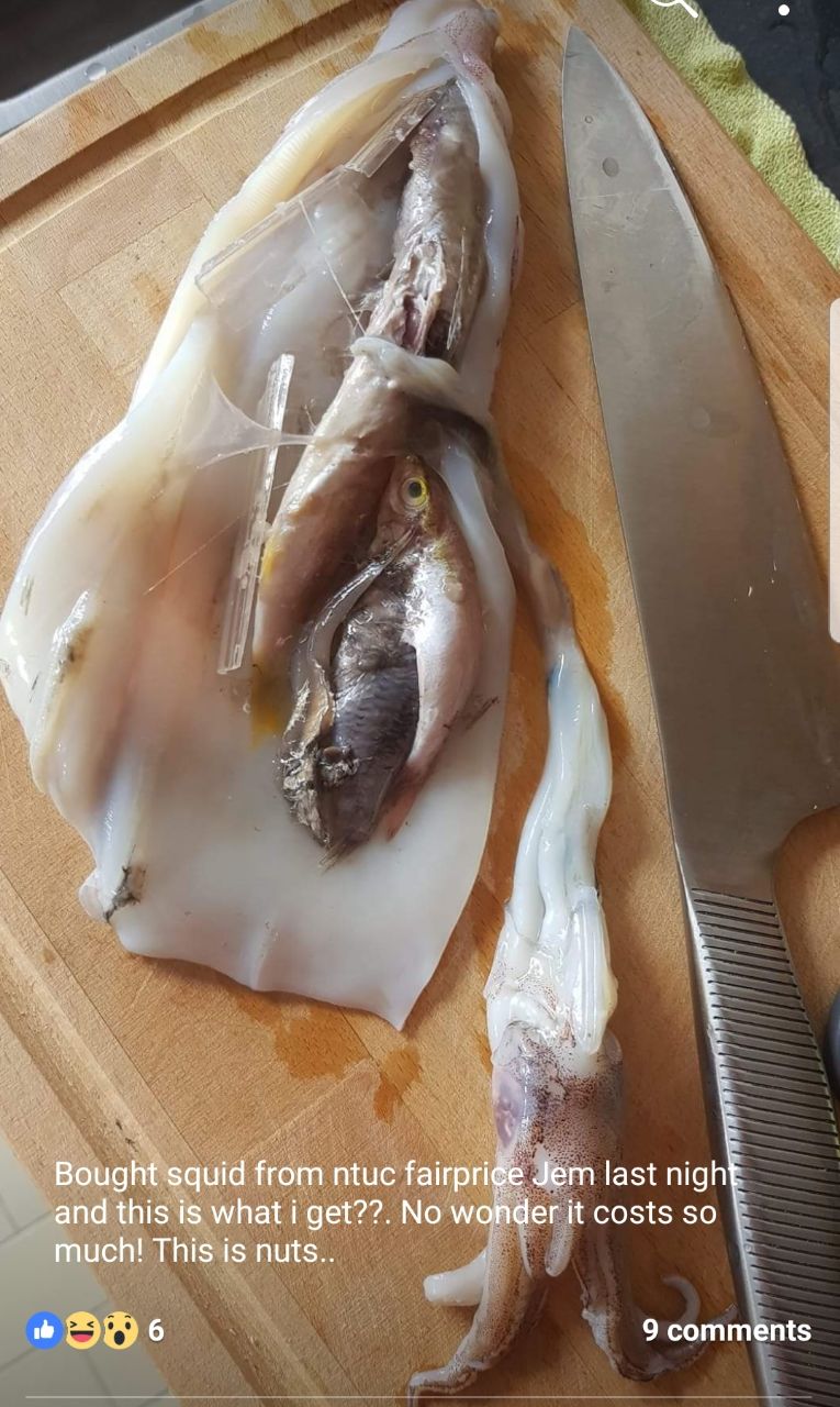 Ntuc Fairprice Apologises To Lady Who Complained Squid Contains Half Digested Fish Mothership Sg News From Singapore Asia And Around The World