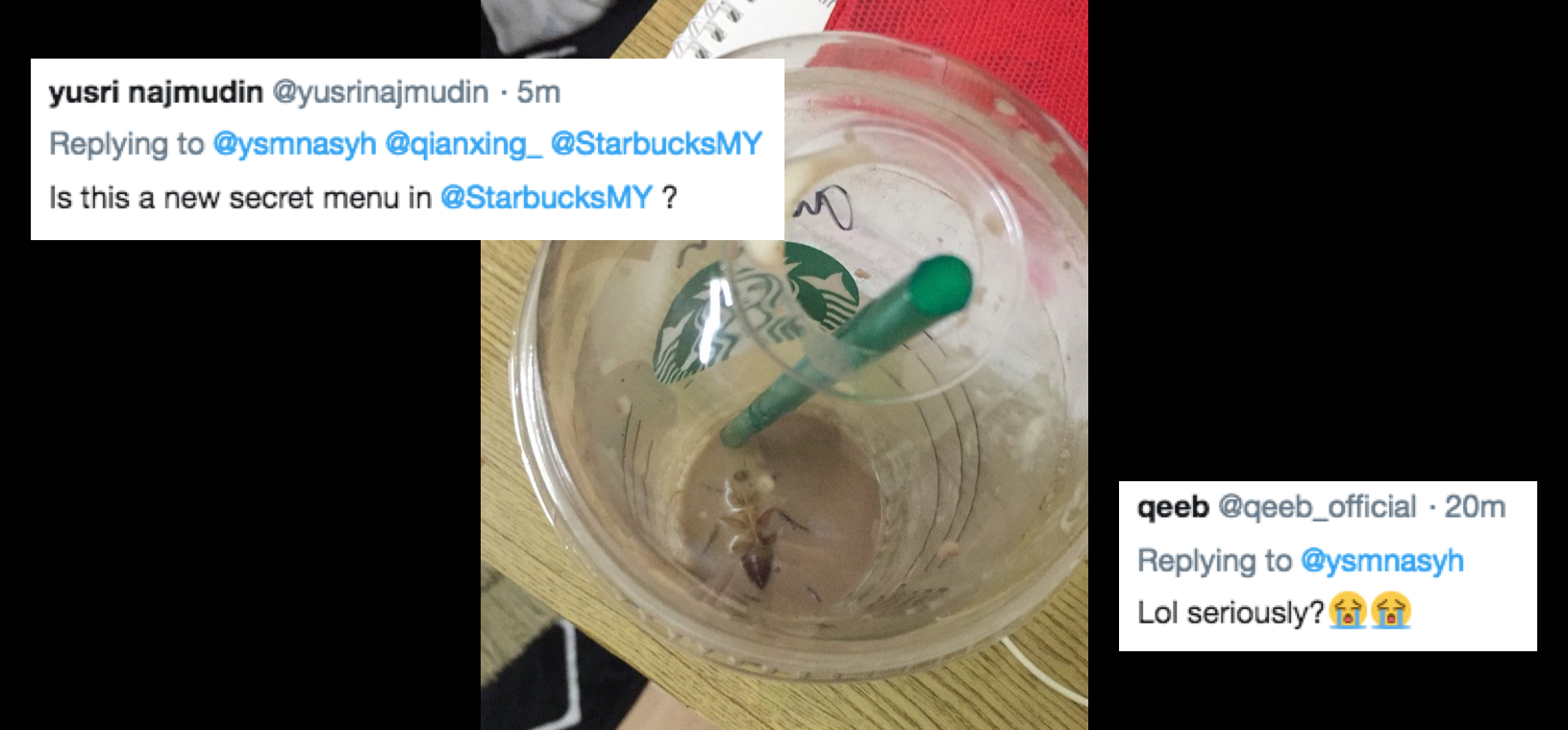 Lady in M'sia finishes Starbucks drink only to find a cockroach in her ...