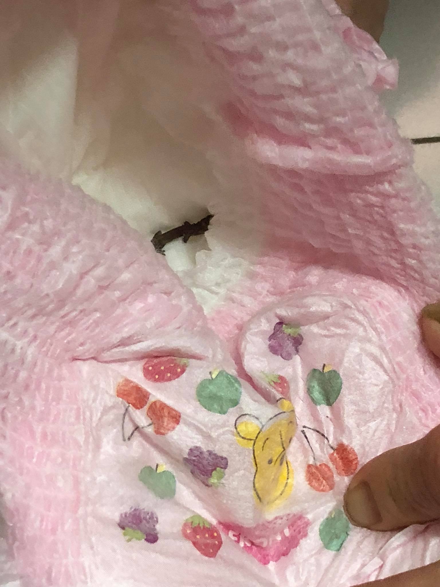 Mother finds dead lizard in newly-opened diaper packet bought from ...