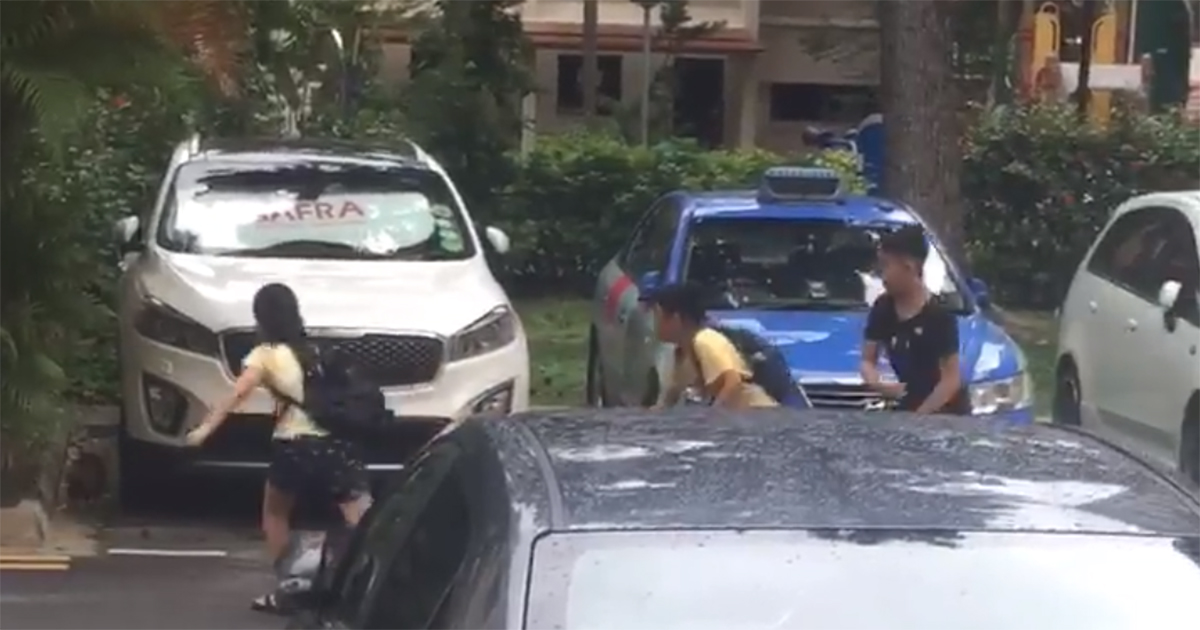 AVA & SPCA investigating video of children throwing objects at cat in