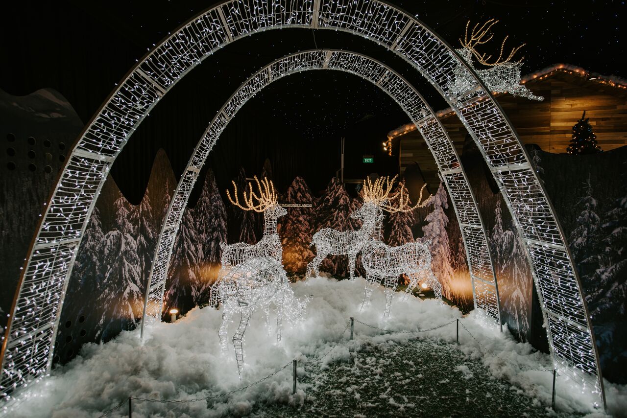 Christmas Wonderland Returns To Gardens By The Bay Nov. 30 - Dec. 26 ...