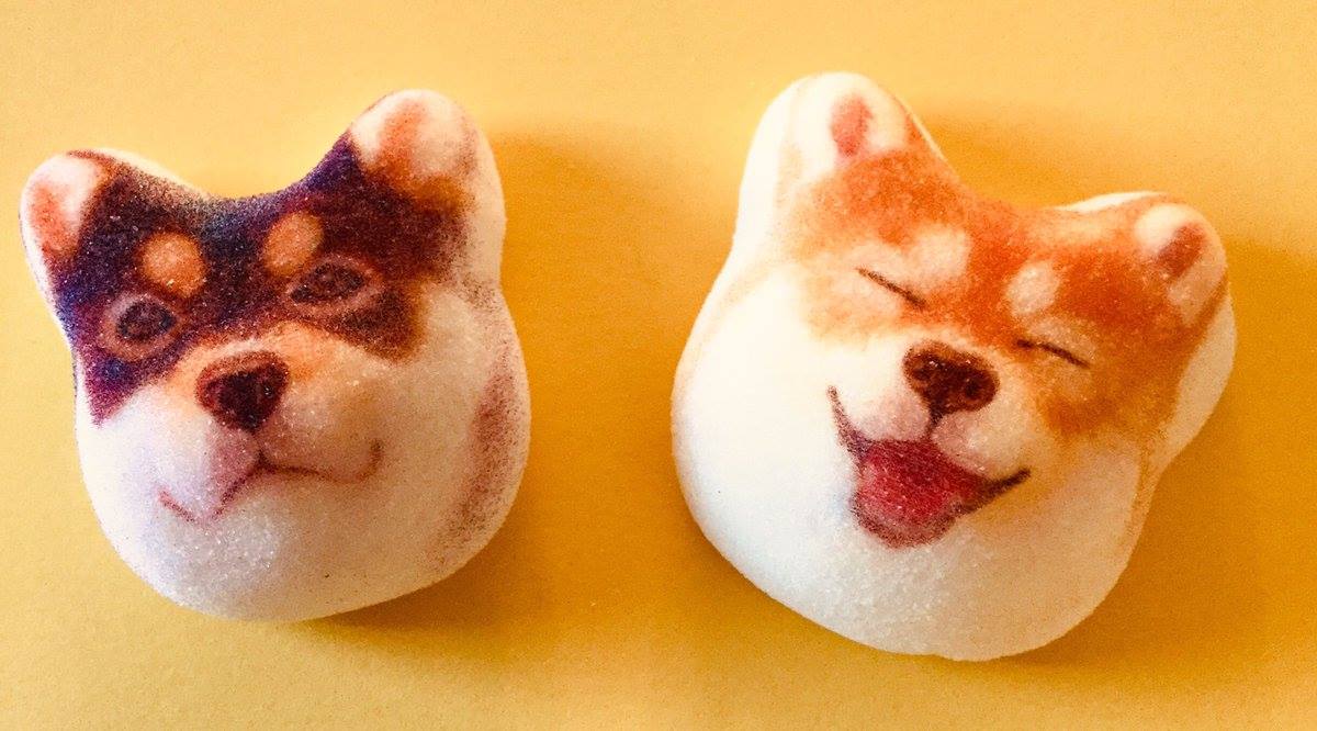 Boxes of Shiba Inu marshmallows now on sale in Japan for