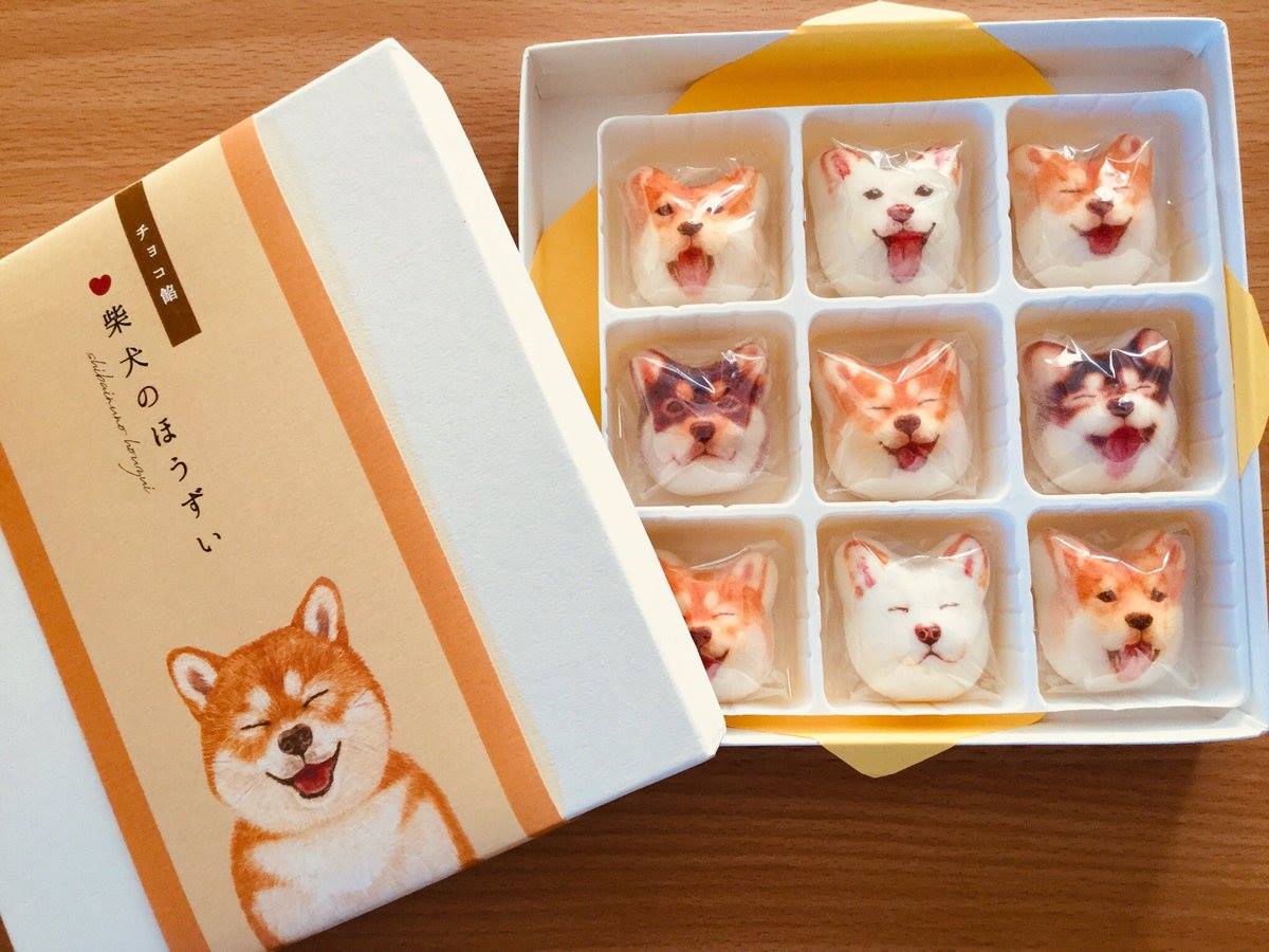 Boxes of Shiba Inu marshmallows now on sale in Japan for 1,200 yen 