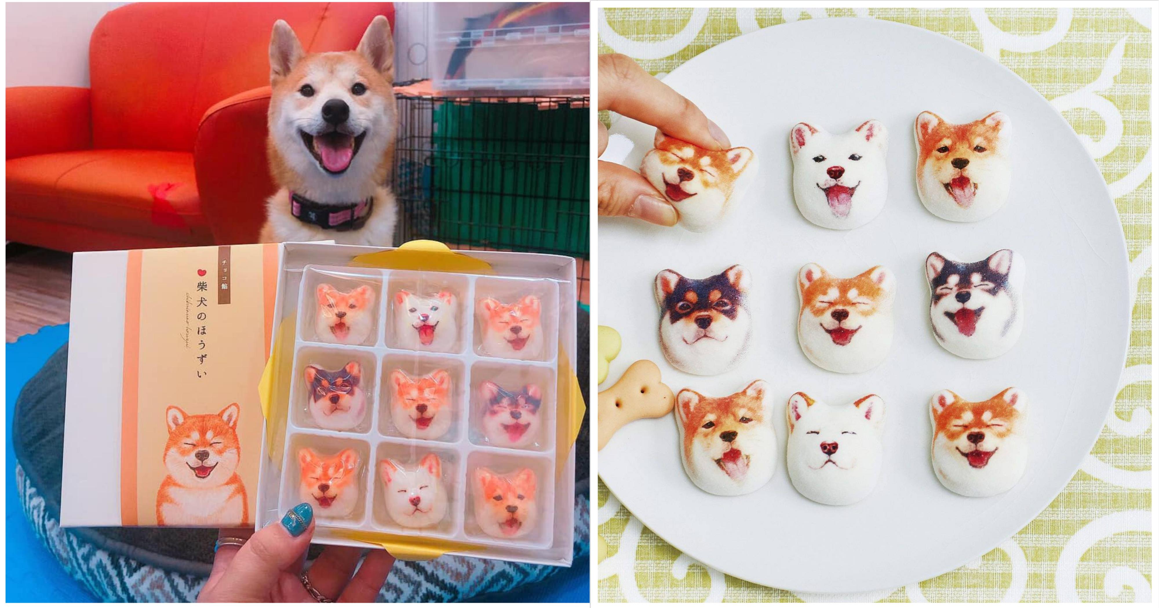 Boxes of Shiba Inu marshmallows now on sale in Japan for 1,200 yen 