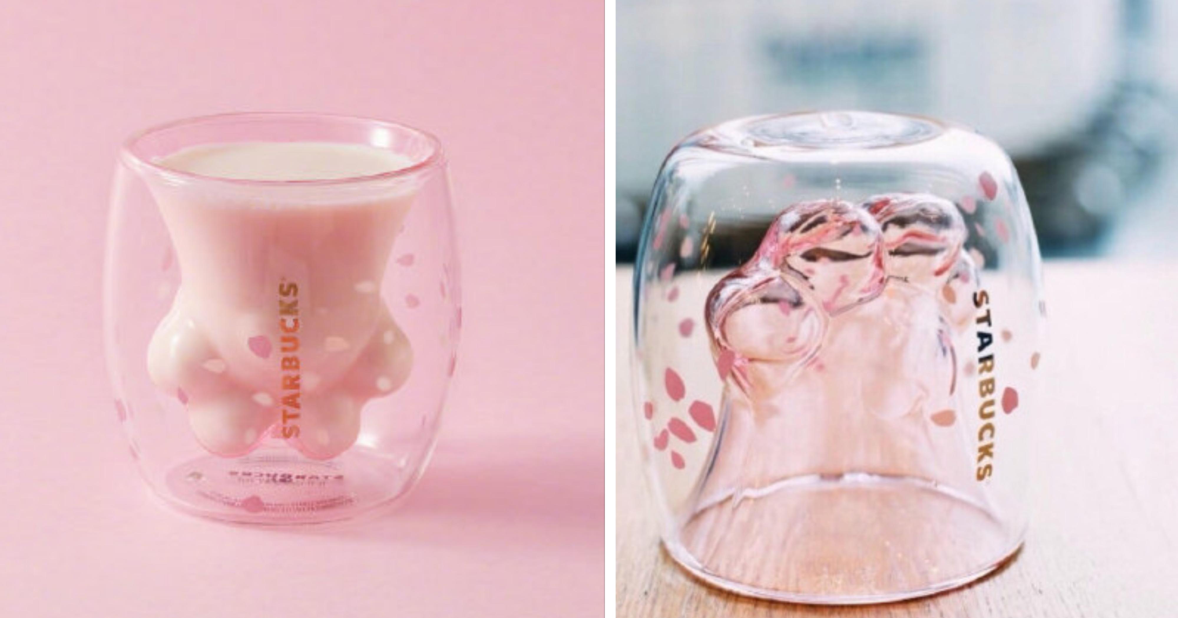 korroderer teenager Forfatter Starbucks China releases limited edition cat paw cup for S$40, also  available online - Mothership.SG - News from Singapore, Asia and around the  world