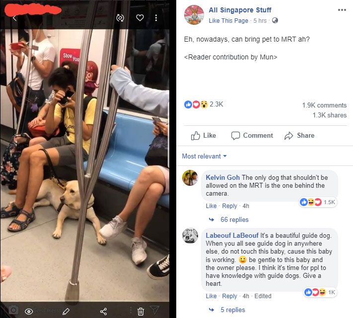 are dogs allowed on mrt singapore