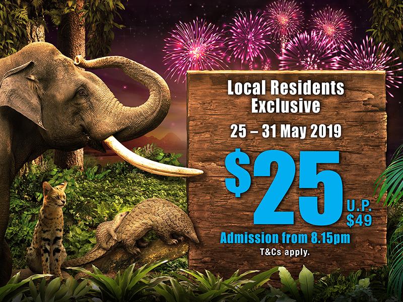 night safari ticket promotion