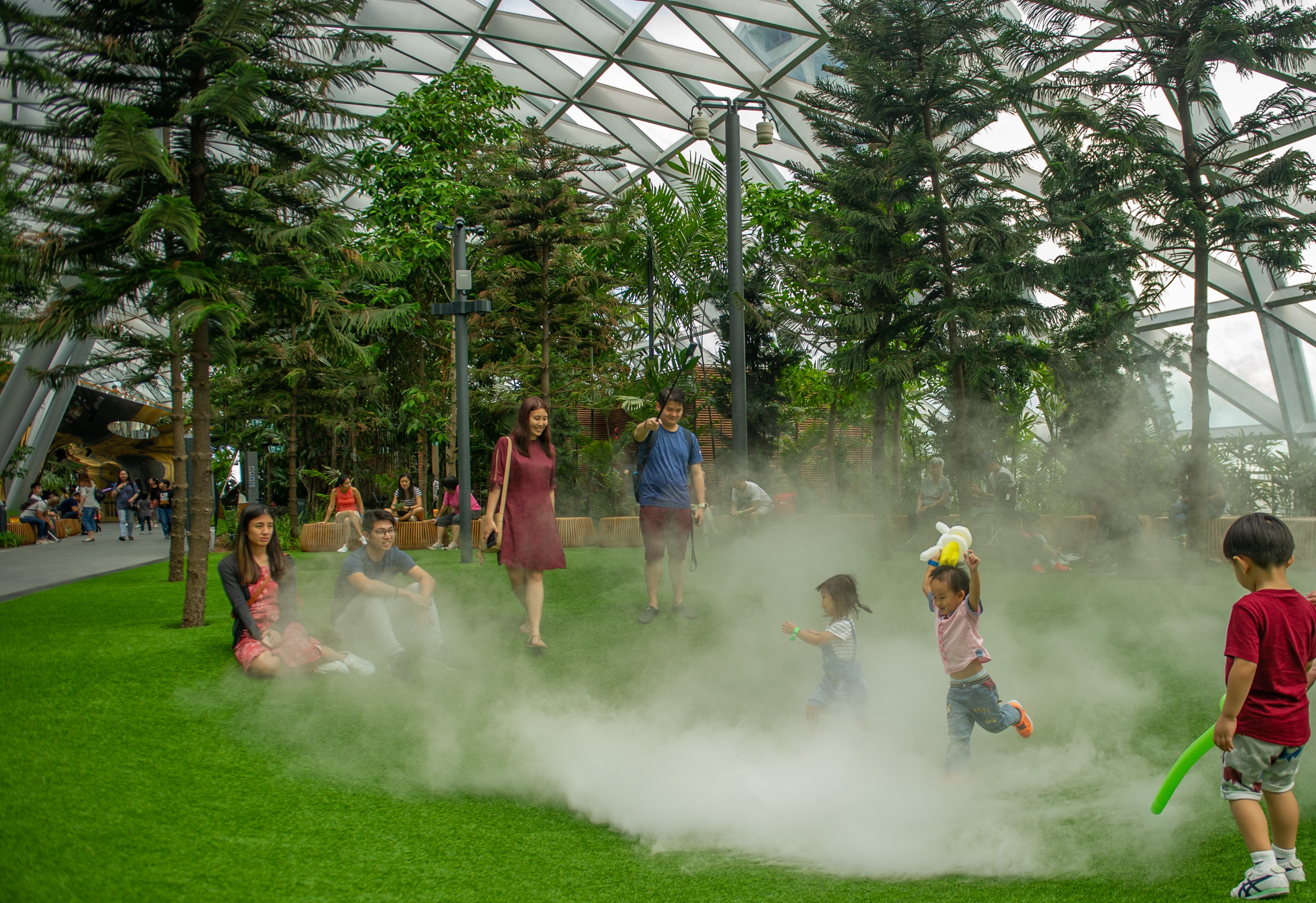 Кинои чанги. Foggy Bowls Changi Airport.