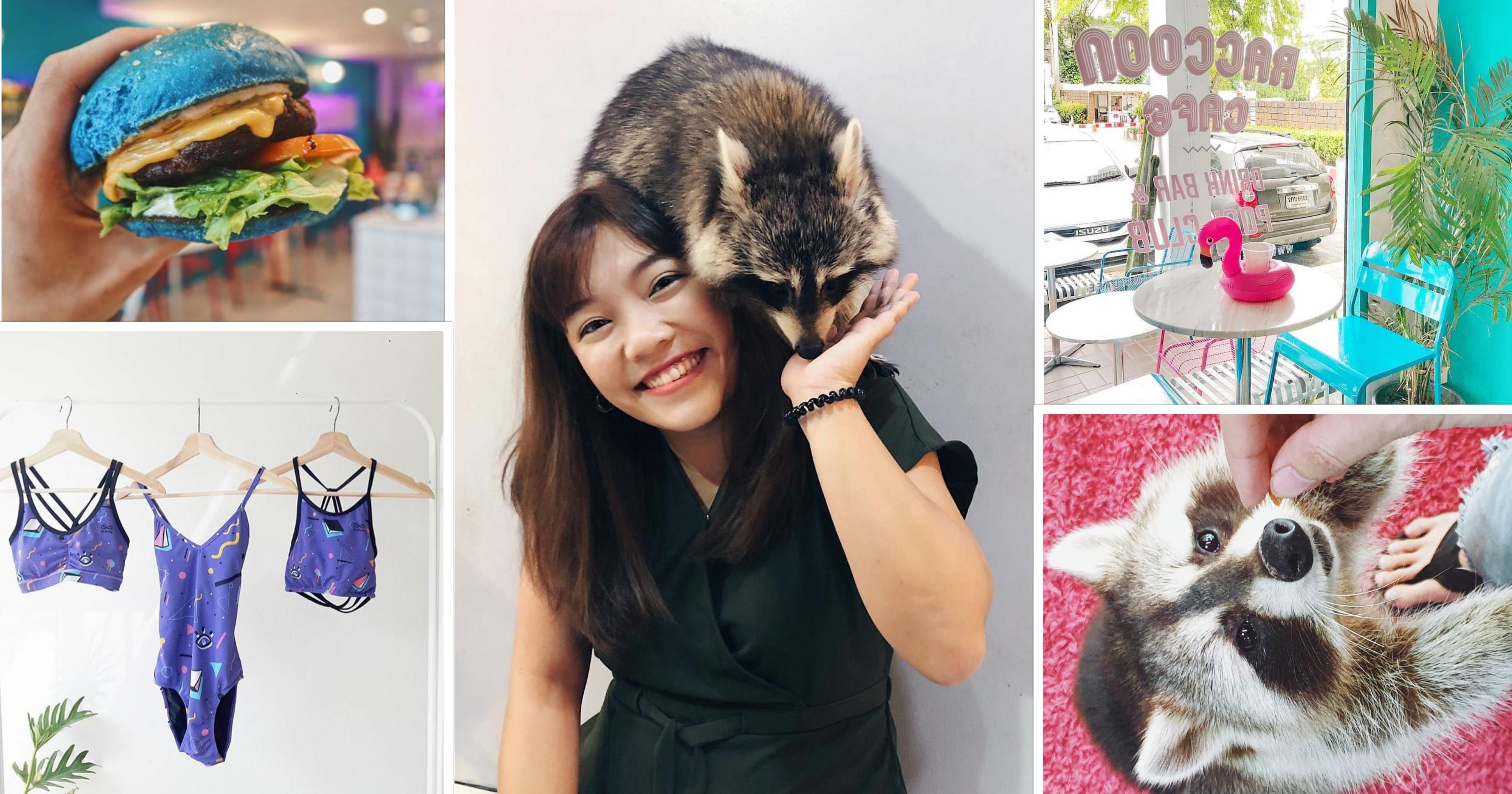 Bangkok's Pooltime Cafe lets you play with raccoons, eat blue burgers