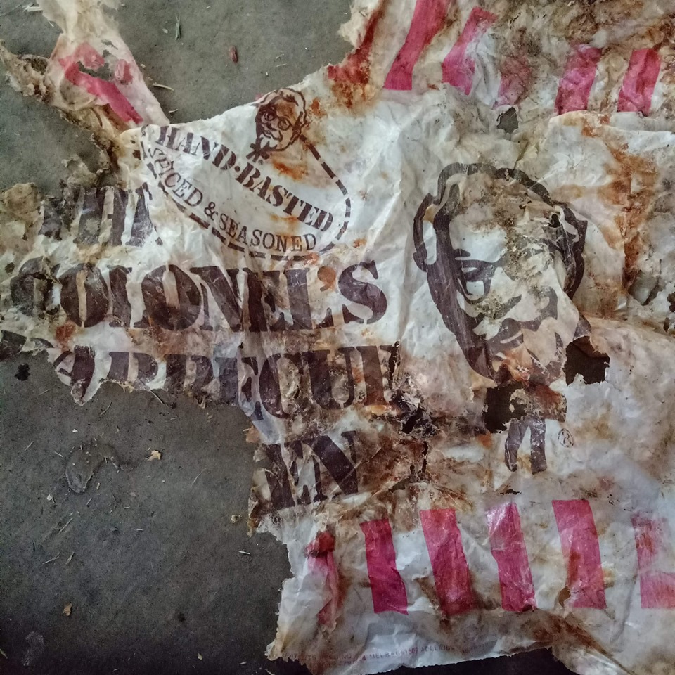 Alleged 40-year-old KFC plastic bag found mostly intact during ocean ...