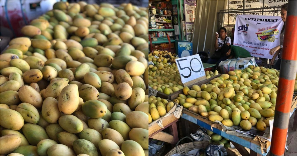 The Philippine govt stepping in to sell off 2 million kg oversupply of