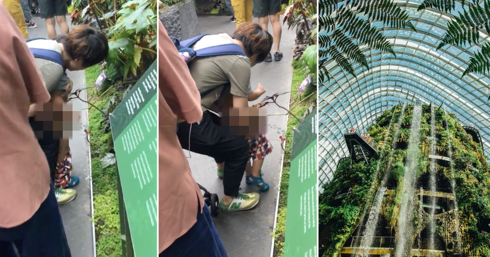 Mother allows boy to pee on plants at Gardens by the Bay, sparks