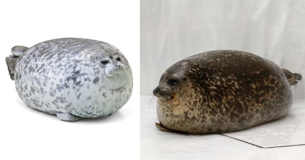 Osaka Aquarium Chubby Seal Plüschkissen Nettes Kaiyukan Fett-Stofftier Geschenk 