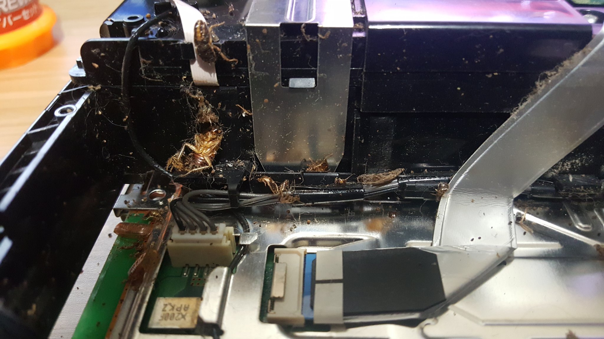 Man finds dead cockroaches in his PS4 it s apparently 