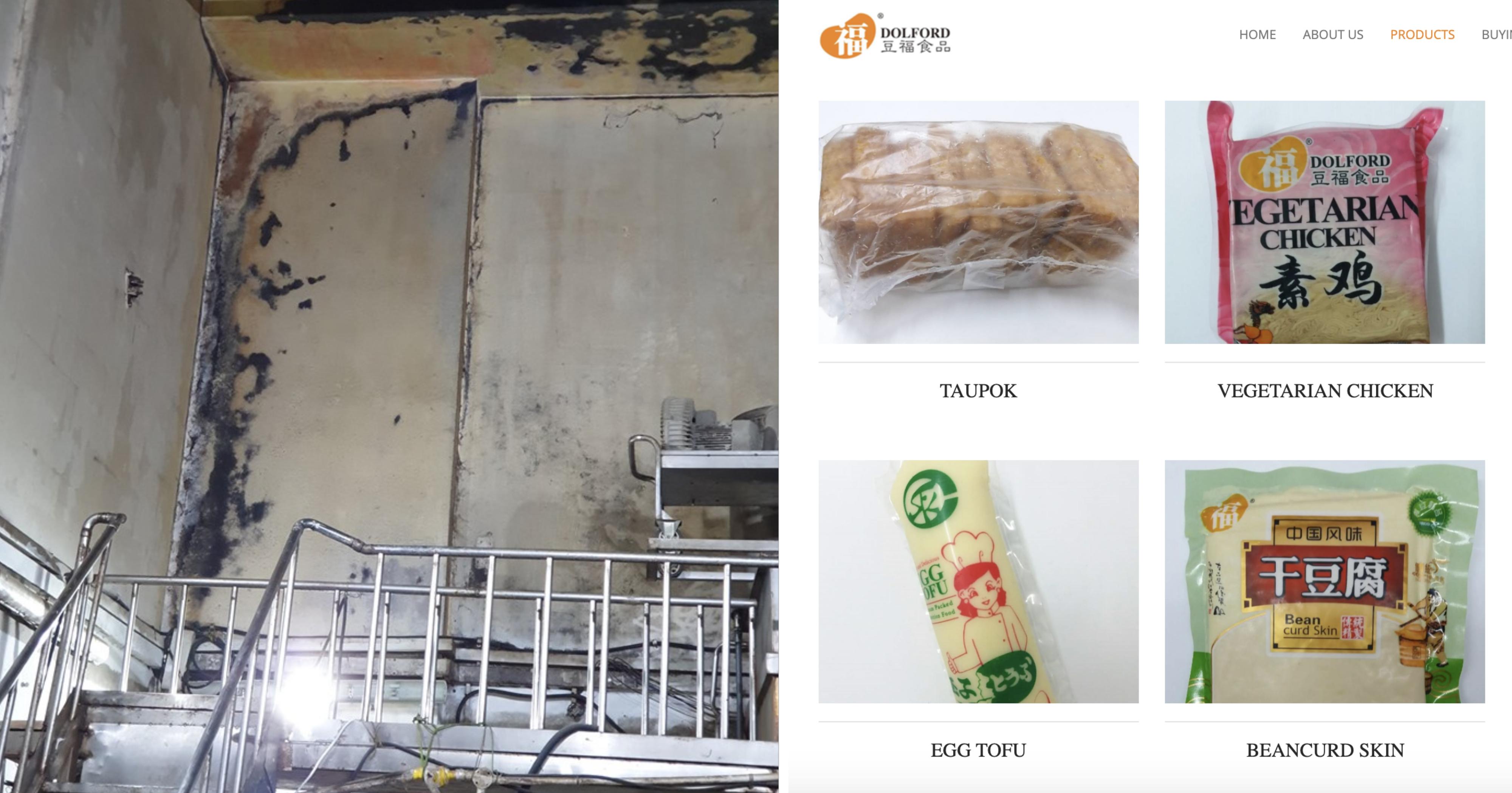 S'pore tofu manufacturer fined S3,000 for 'widespread cockroach