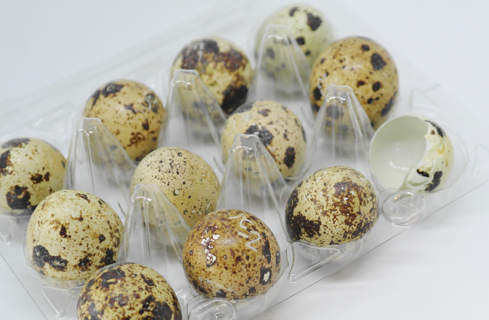 S'pore suspends quail eggs from M'sia farm after finding drug residue