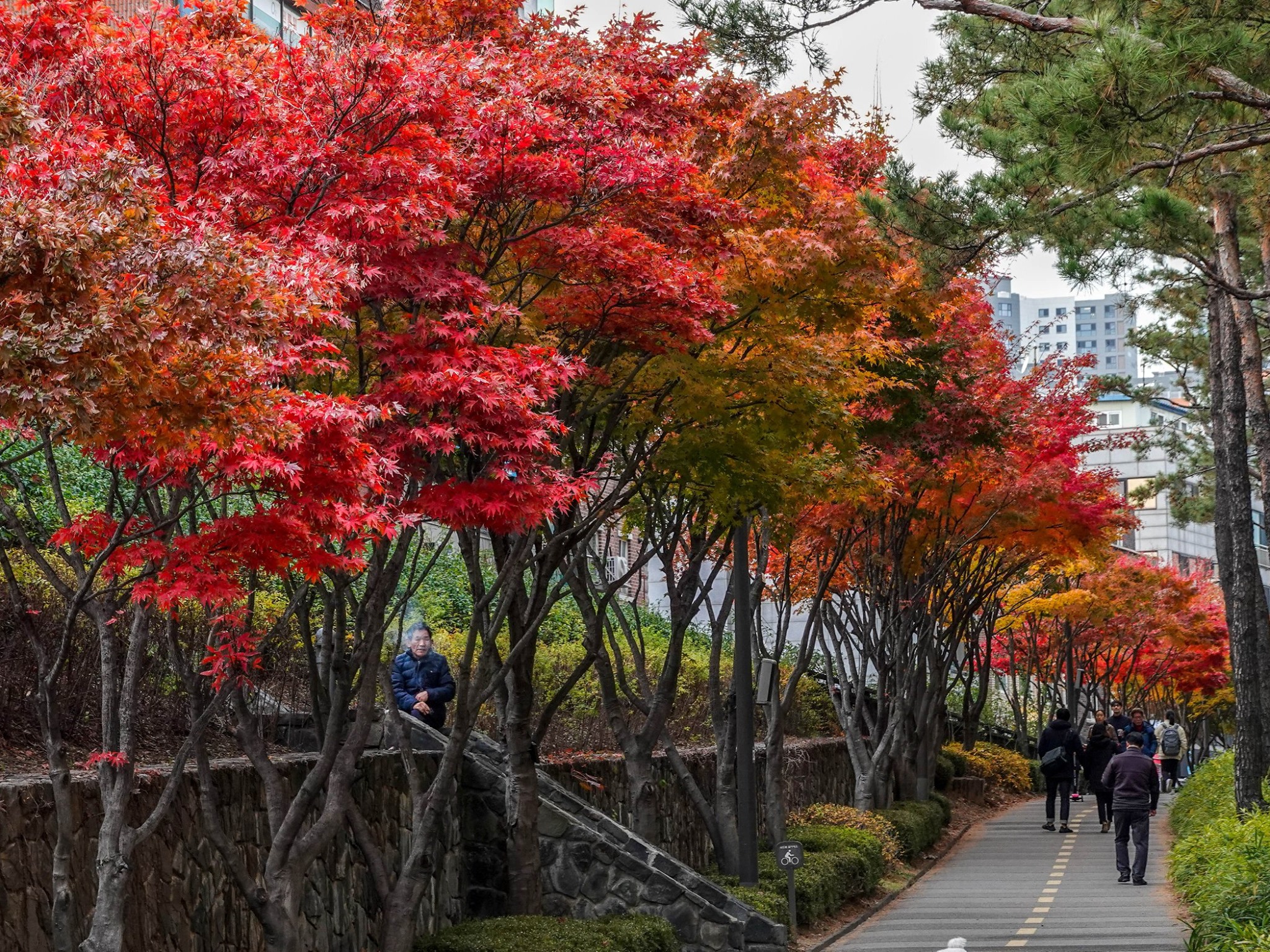 pm lee south korea