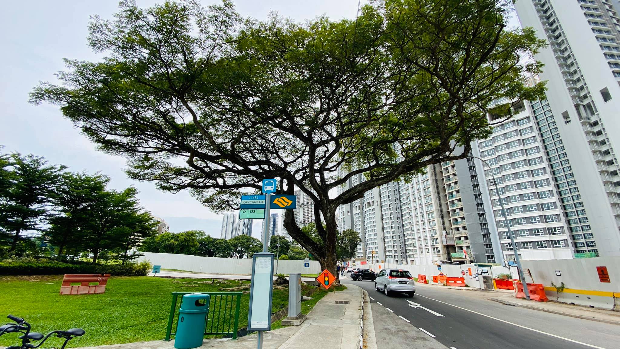 rain trees margaret drive