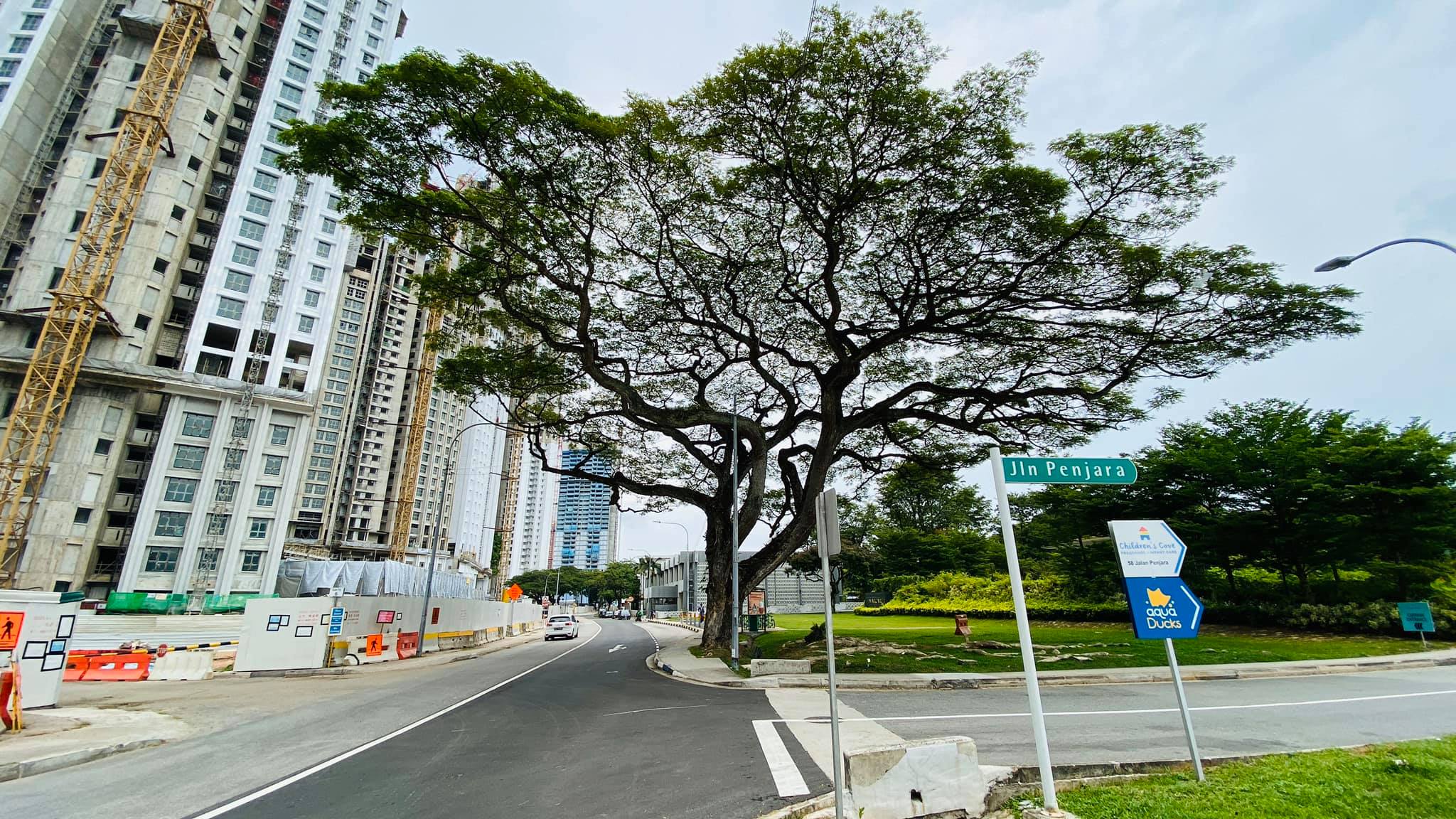 rain trees margaret drive