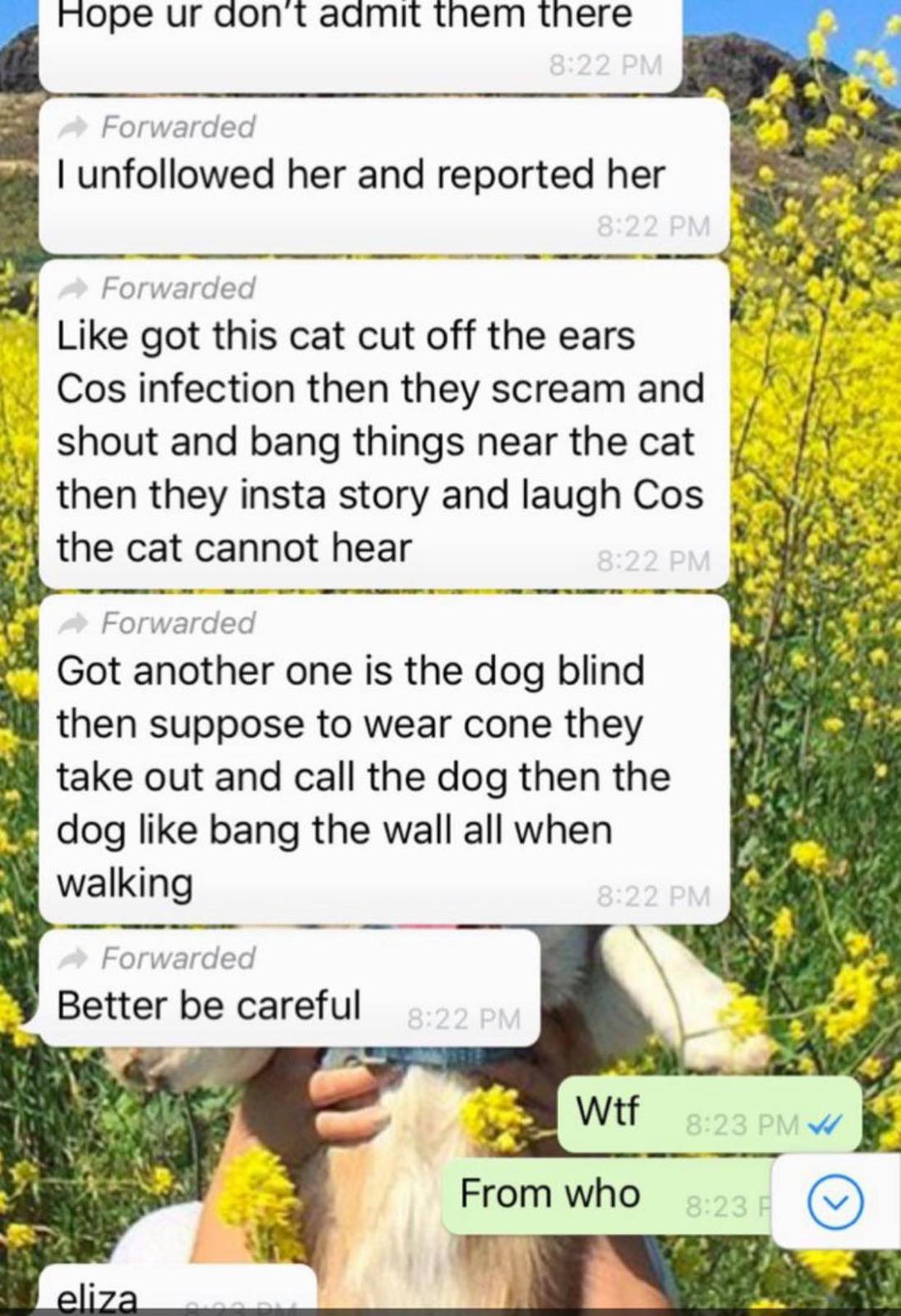 Whatsapp conversation about vet Janice