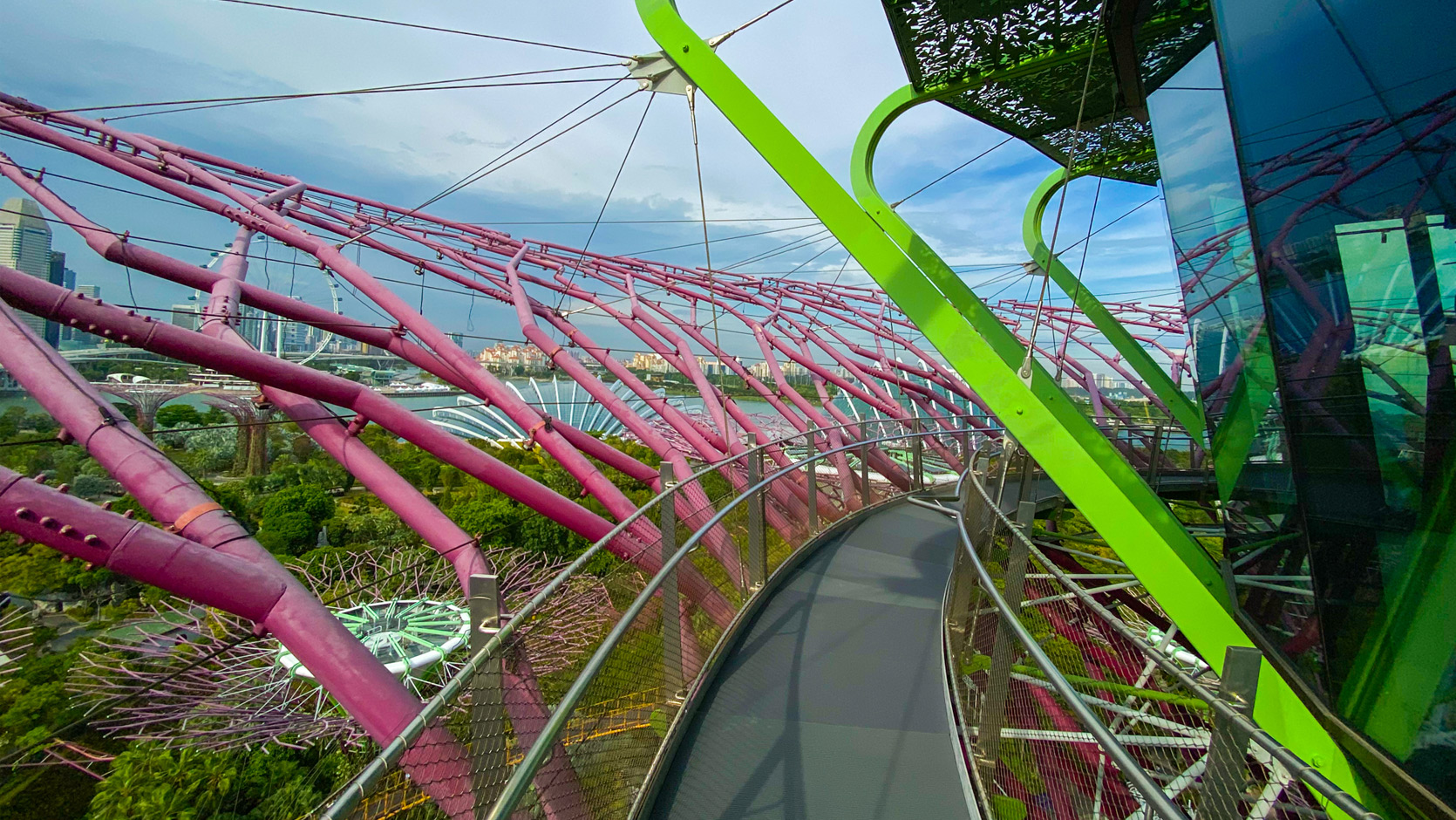 supertree observatory gardens by the bay