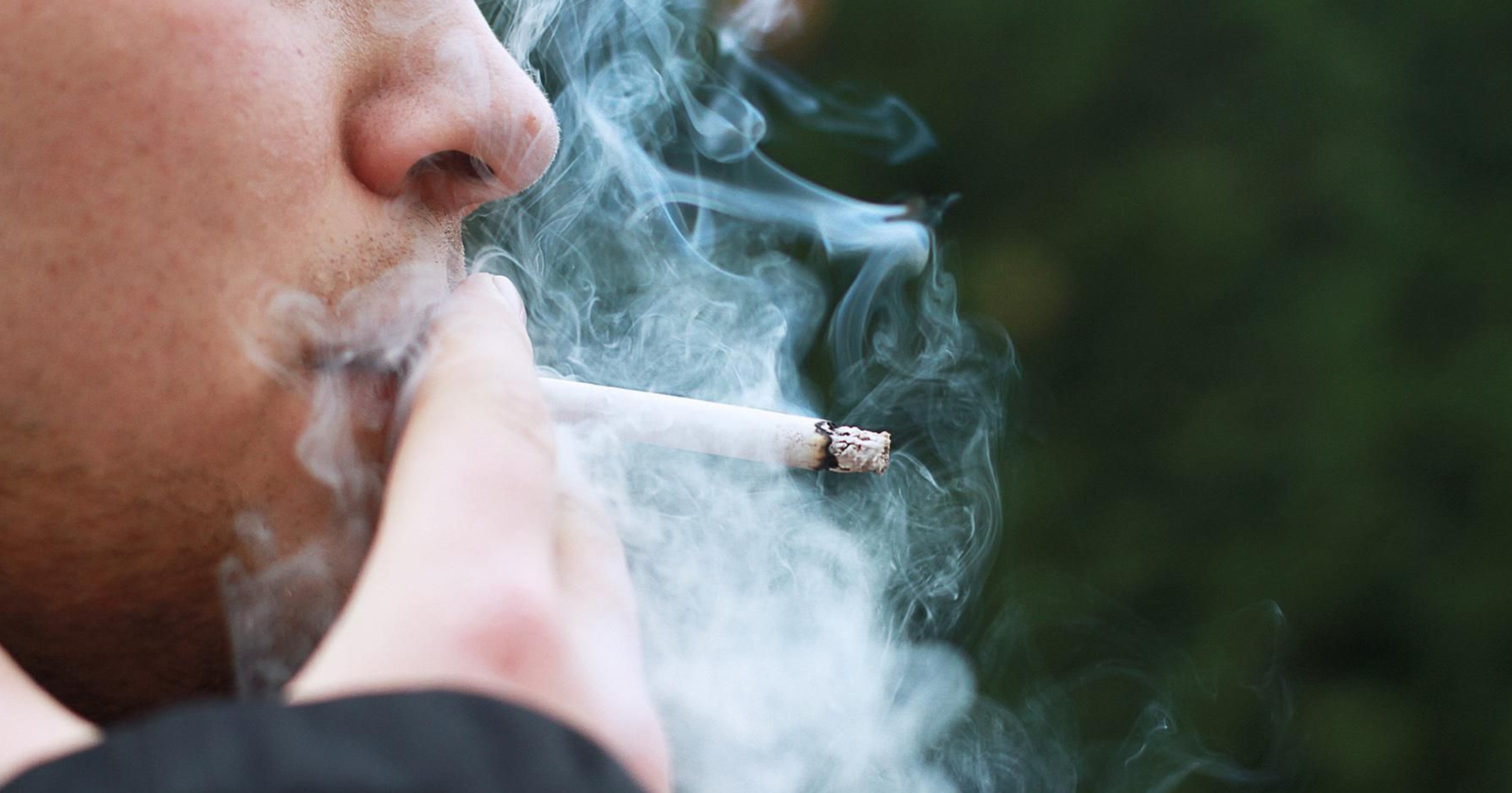 tobacco abstainer crossword clue Tobacco Crossword