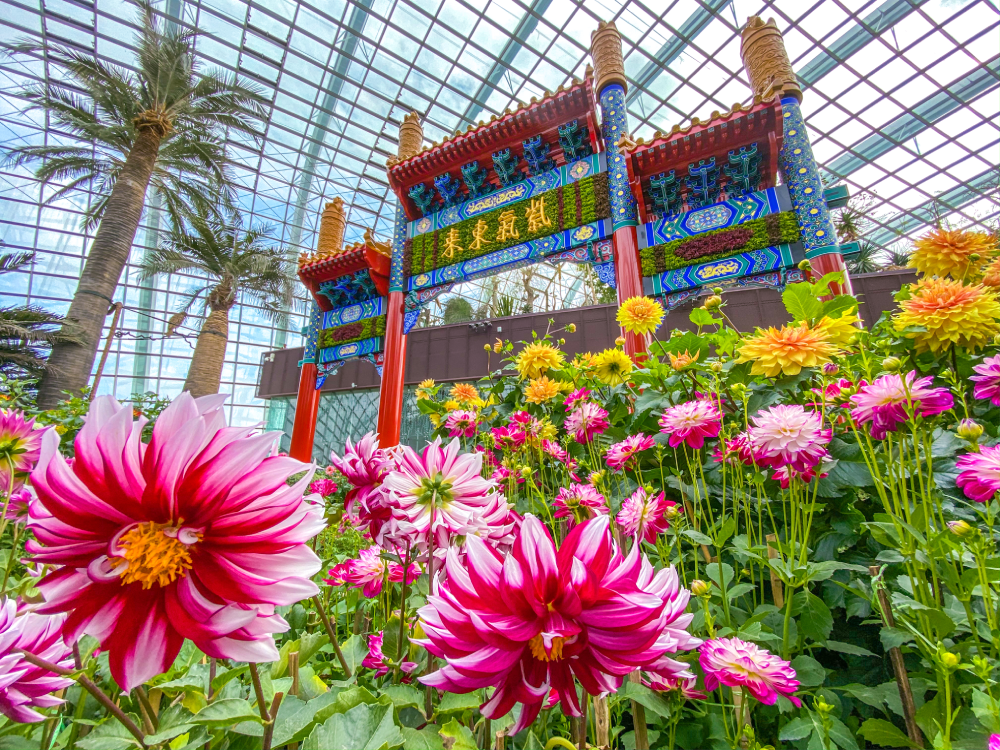 Gardens by the Bay CNY