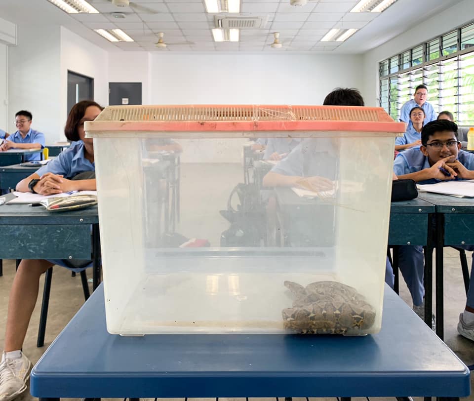 Python in biology class at Commonwealth Secondary School