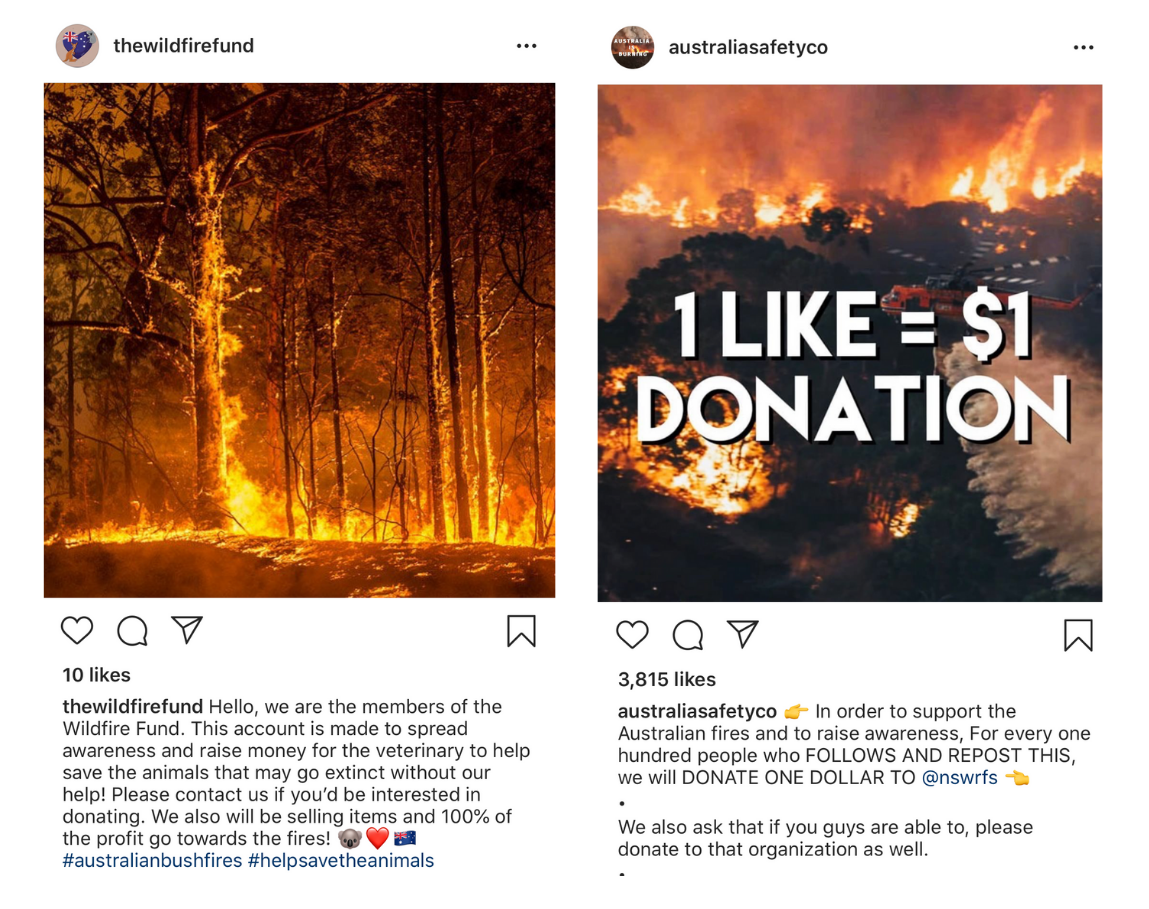 instagram bushfire fundraising scams