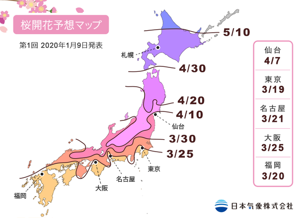 sakura 2020